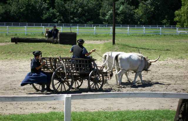 Die ungarische Puszta ist eine Reise wert.