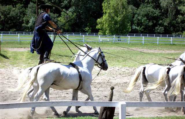 Ein St&uuml;ck traditionelles Ungarn kennen lernen!