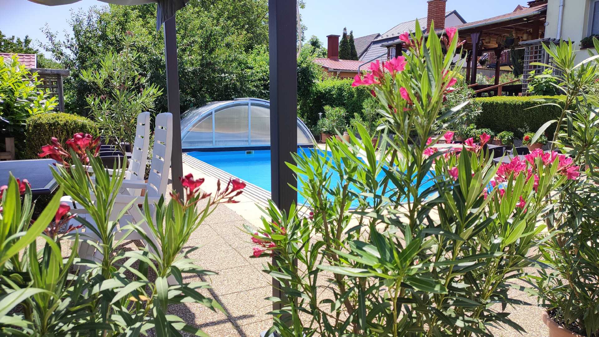 Sonnenliegen und Sonnenschirme am Poolbereich vom Haus Marika in Si&oacute;fok am Plattensee