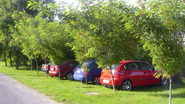 Kostenloses Parken